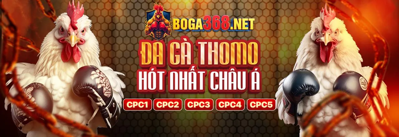 Biểu đồ minh họa các loại cookie khác nhau được b66 sử dụng